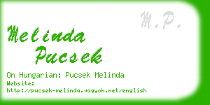 melinda pucsek business card